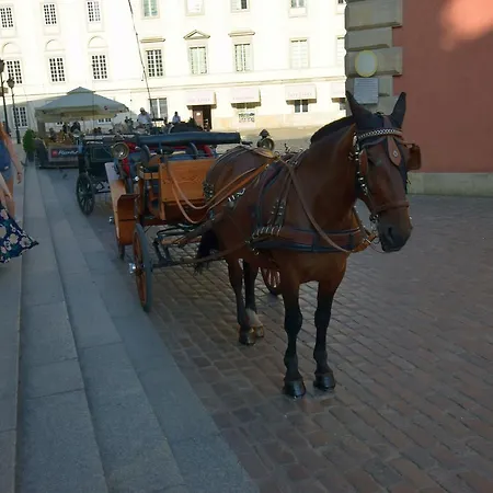 Elegant Old Town Ii